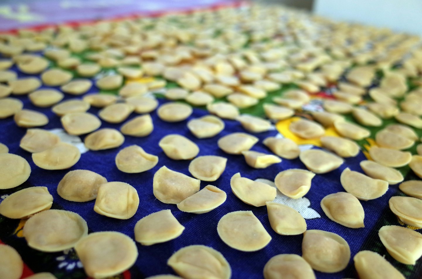 Pasta fatta a mano che asciuga su un tessuto blu.