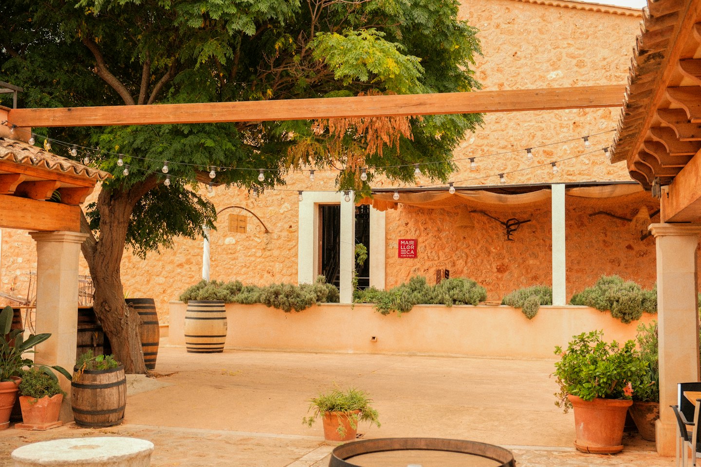 Cortile esterno con edifici in pietra, albero e botti di vino.