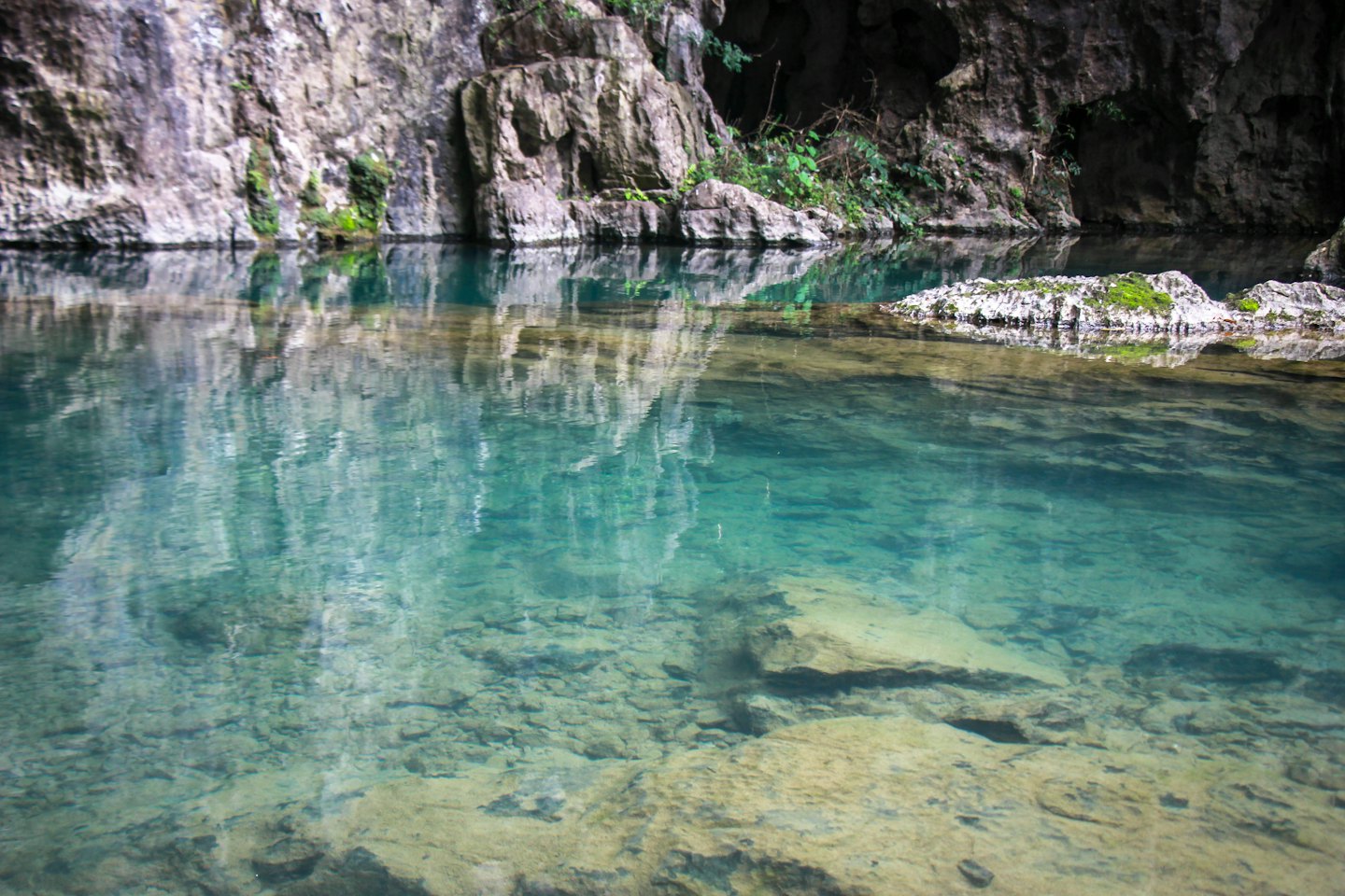 Acqua cristallina scorre accanto a scogliere rocciose grigie e muschiose.