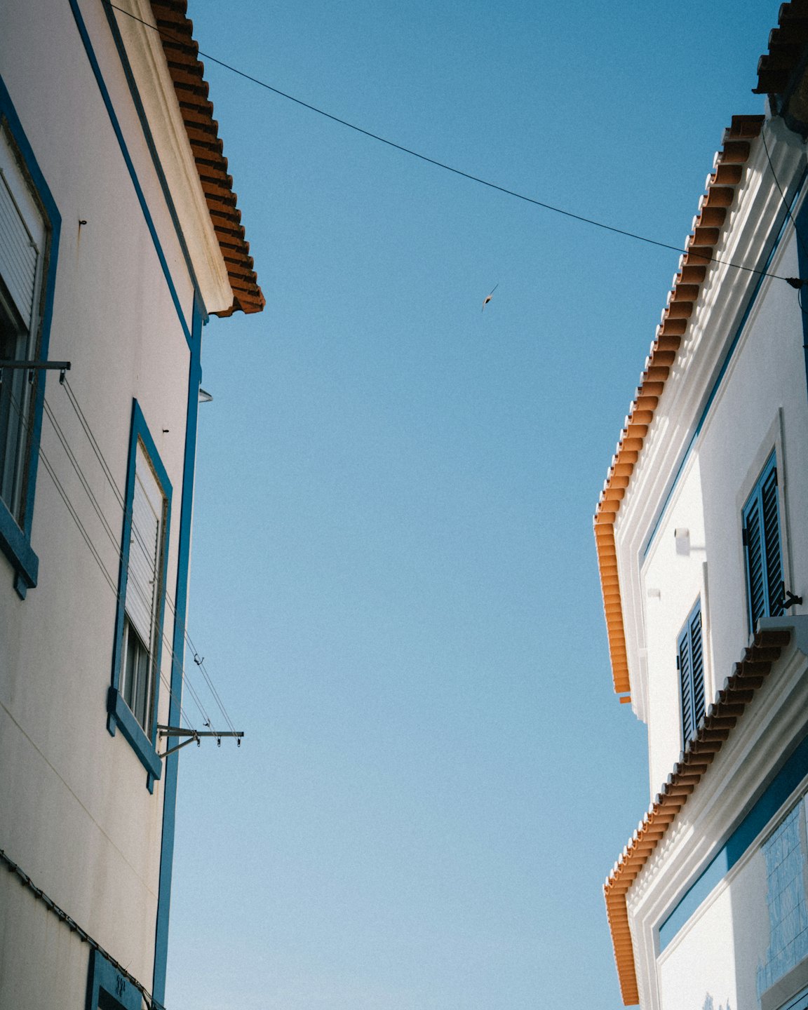 Due edifici bianchi con finiture blu su sfondo blu.