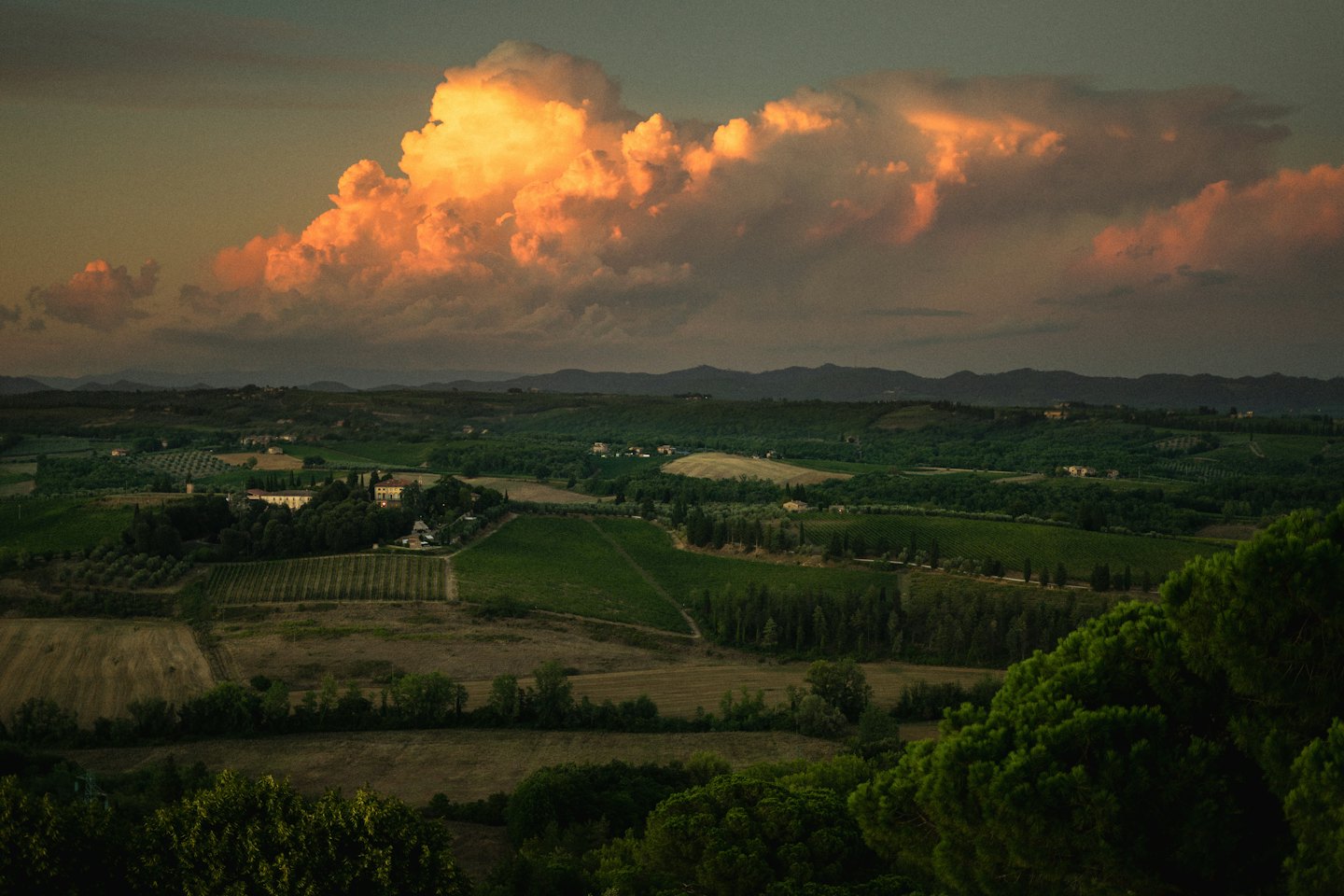 Colline di vigneti al tramonto con nuvole drammatiche.