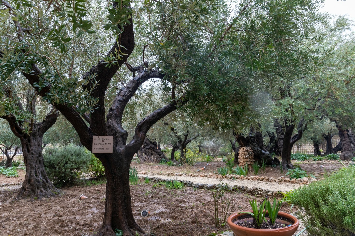 Tour enogastronomico nel Salento tra cantine e piatti tipici